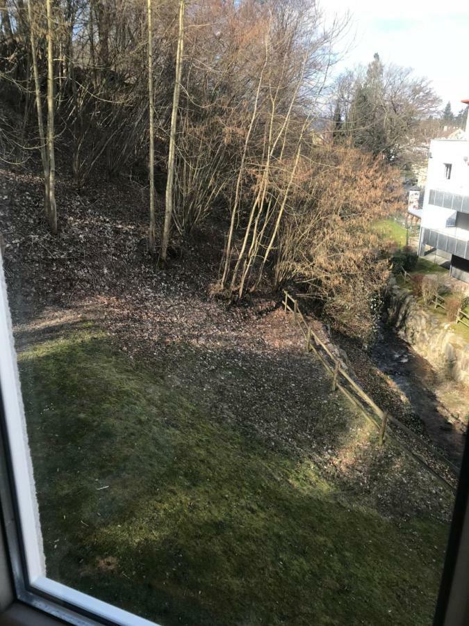 Gaestezimmer Am Oos Bach Baden-Baden Kültér fotó